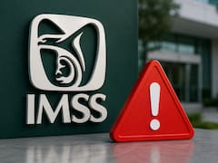IMSS confirma seguros para hombres y mujeres sin empleo formal: quiénes pueden solicitarlos y qué cubren