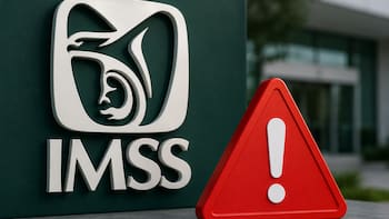 IMSS confirma seguros para hombres y mujeres sin empleo formal: quiénes pueden solicitarlos y qué cubren