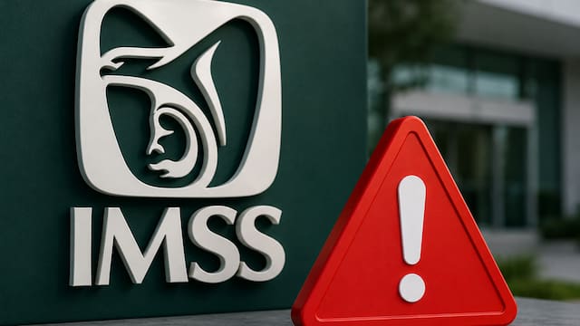IMSS confirma seguros para hombres y mujeres sin empleo formal: quiénes pueden solicitarlos y qué cubren
