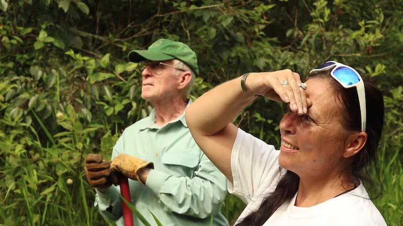 La pareja que adquirió un pantano para evitar su urbanización.