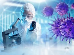La ciencia cambia lo que se creía sobre las bacterias: por qué algunas son indispensables para la salud