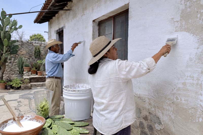 La pintura blanca de cal y sal que ayuda a proteger los muros, reflejar el calor y renovar paredes gastando menos que con pinturas convencionales.