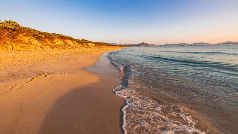 La playa española de aguas turquesas y bordeada de árboles que está entre las mejores del mundo. Foto: Shutterstock