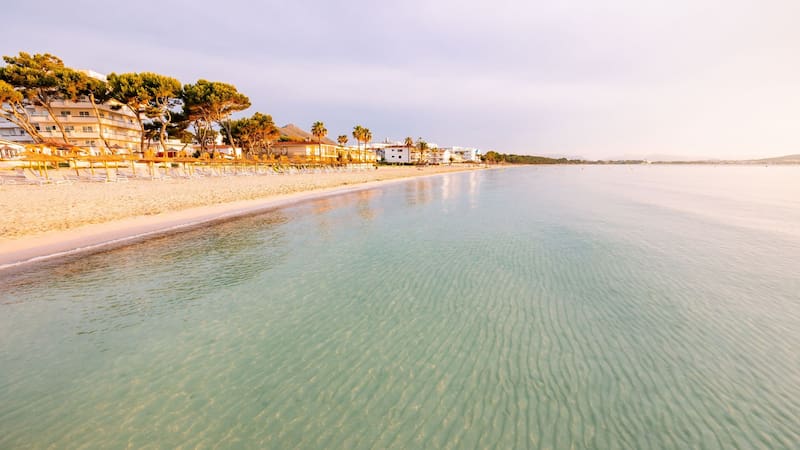 La playa española de aguas turquesas y bordeada de árboles que está entre las mejores del mundo. Foto: Shutterstock