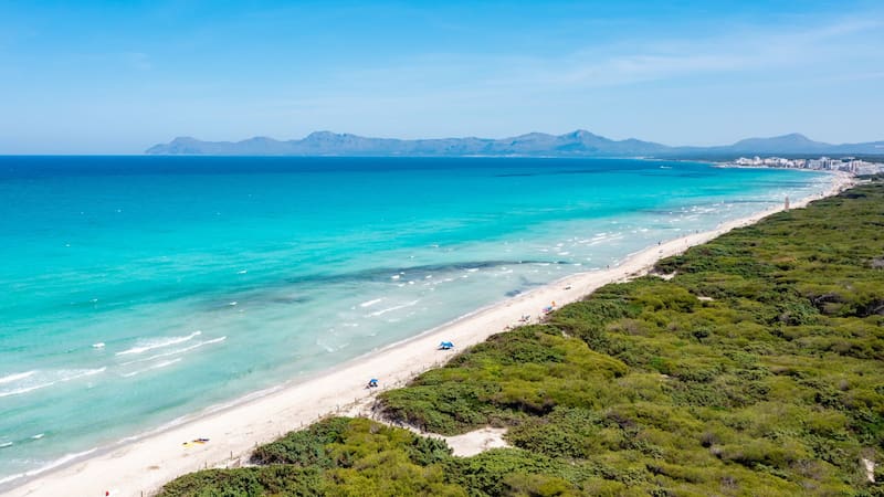 La playa española de aguas turquesas y bordeada de árboles que está entre las mejores del mundo. Foto: Shutterstock
