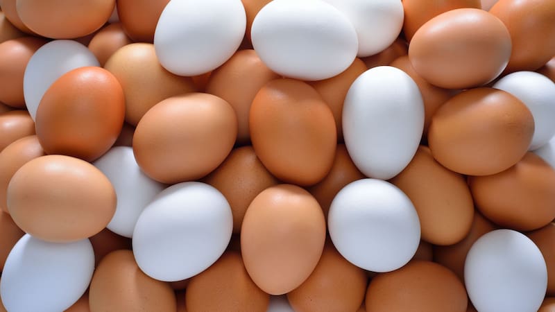 La principal diferencia entre ambos tipos de huevos está en la raza de la gallina que los pone. (Foto: Archivo)