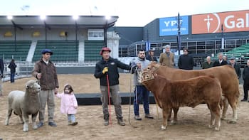 Arrancó la muestra del campo en plena interna: el debate entre Pino y Pereda y las reformas para el sector
