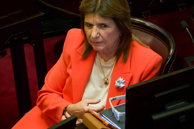 La senadora por La Libertad Avanza, y exministra de Seguridad, Patricia Bullrich, aseguró que el Gobierno modificará el artículo.