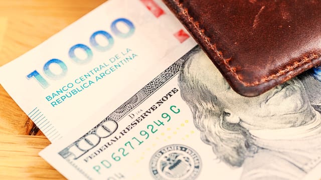 Dólar ahorro: récord histórico en la serie del BCRA
