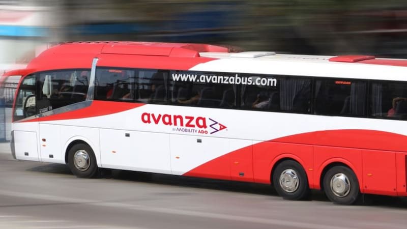 La tarjeta para viajar en transporte público 100% gratis: cómo obtenerla y quiénes pueden acceder. Foto: Ayuntamiento de Málaga