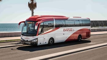 La tarjeta para viajar en transporte público 100% gratis: cómo obtenerla y quiénes pueden acceder