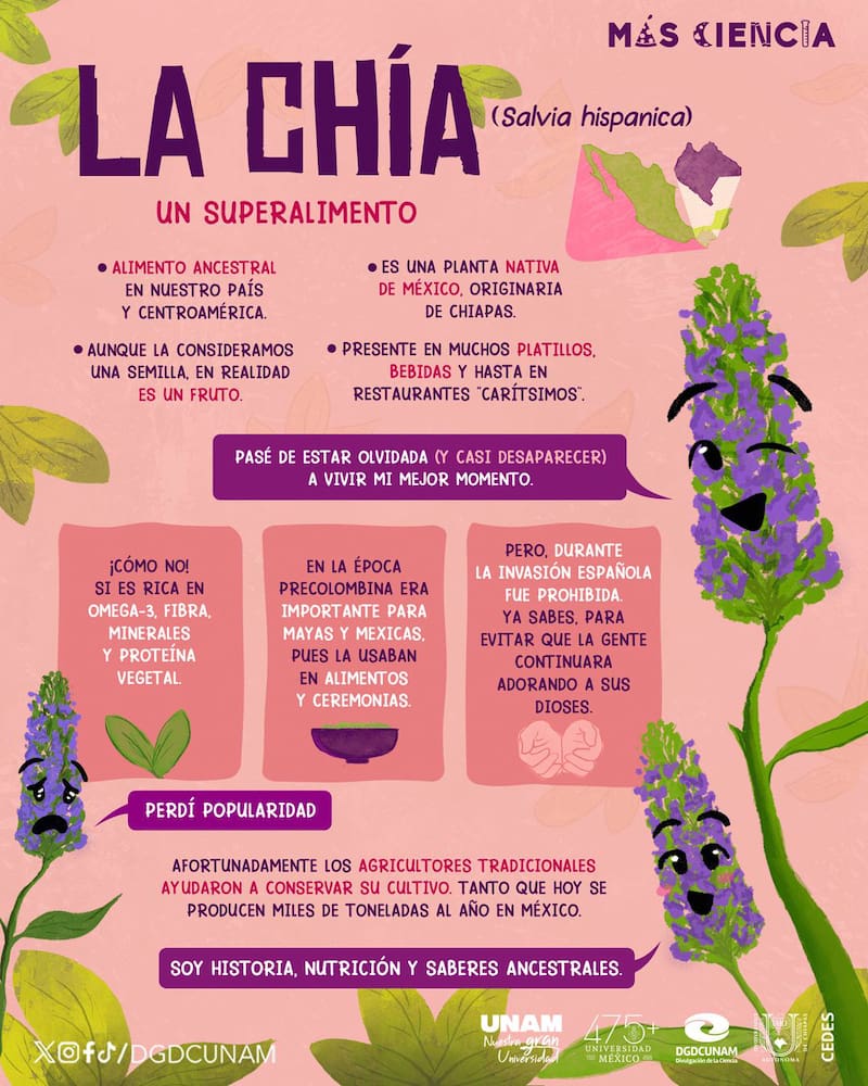 La UNAM reconoció las virtudes de la chía.