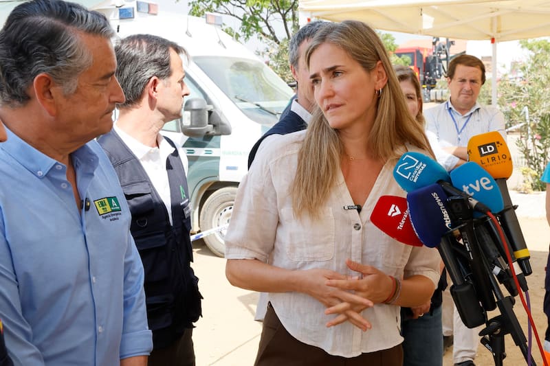 La vicepresidenta del Gobierno y ministra para la Transición Ecológica y el Reto Demográfico, Sara Aagesen, ha explicado la gravedad de los incendios en 2026.