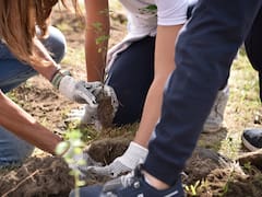 Un nuevo bosque: Heineken y Fundación Azteca reforestan parque en Iztapalapa con la ayuda de 400 voluntarios