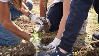 Un nuevo bosque: Heineken y Fundación Azteca reforestan parque en Iztapalapa con la ayuda de 400 voluntarios