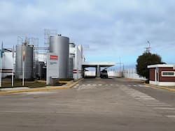 Qué está pasando con la láctea Verónica: planta paralizada, deudas millonarias y rumores de venta