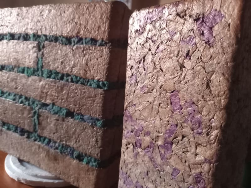 El ladrillo ecológico desarrollado en la UNNE utiliza fibras de maples de huevo reciclados y fue sometido a ensayos para analizar su resistencia, aislación térmica y comportamiento acústico.
