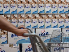 De colección | La jugada maestra de Lala para conquistar el Mundial 2026 con Rafa Márquez y Los Ángeles Azules