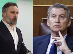Se acabó el plazo para las coaliciones al Senado: qué pasará con el posible pacto entre Feijóo y Abascal
