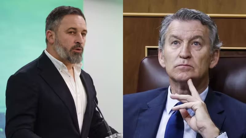 Abascal dice que si hay acuerdo PP-Vox para el Senado hará un anuncio, no un "espectáculo"