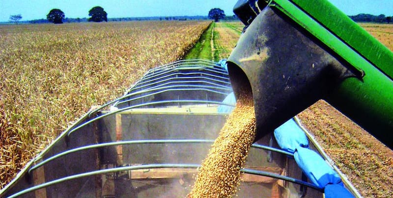 Las proyecciones indican que la cosecha de soja rondará las 48 a 50 millones de toneladas.