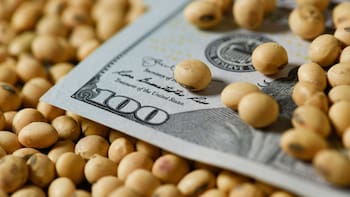 Argentina cerró noviembre con superávit comercial de u$s 2.498 millones: récord de exportaciones