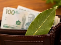 Pocos lo saben | Por qué recomiendan colocar una hoja de laurel en la billetera y para qué sirve
