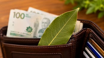 Pocos lo saben | Por qué recomiendan colocar una hoja de laurel en la billetera y para qué sirve