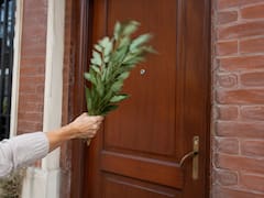 Agitar laurel en la puerta de la casa: para qué sirve y por qué recomiendan hacerlo