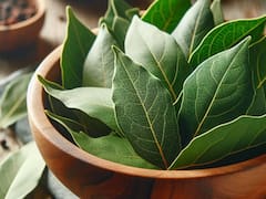 Es tendencia | Para qué sirve guardar hojas de laurel en la billetera y por qué el Feng Shui lo recomienda