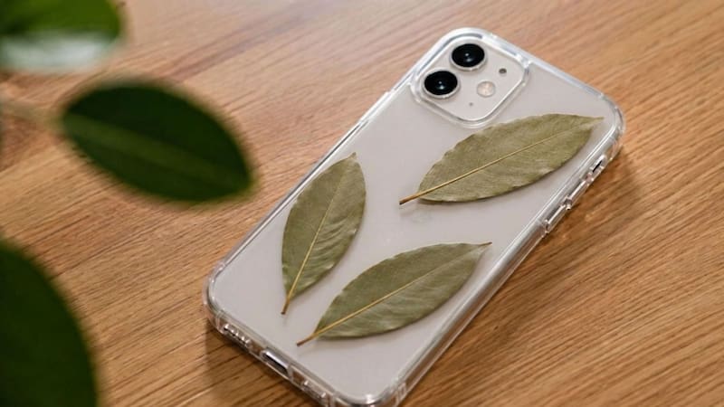 Llevar una hoja de laurel en la funda del celular: por qué muchos lo recomiendan y para qué sirve realmente.