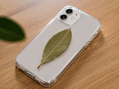 Por qué recomiendan llevar una hoja de laurel en la funda del celular: por qué hacerlo y para qué sirve