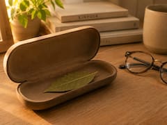 Llevar una hoja de laurel en el estuche de los anteojos: para qué sirve y por qué lo recomiendan