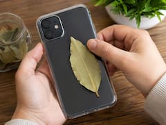 Colocar una hoja de laurel en la funda del celular: por qué lo recomiendan y para qué sirve