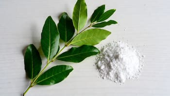 Laurel con bicarbonato de sodio: por qué recomiendan preparar esta mezcla y para qué sirve