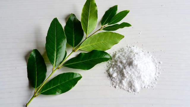 Laurel con bicarbonato de sodio: por qué recomiendan preparar esta mezcla y para qué sirve