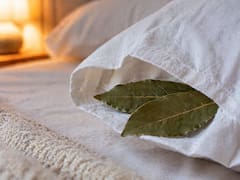 Colocar una hoja de laurel dentro de la almohada: para qué sirve y por qué todos lo recomiendan