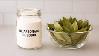 Mezclar hojas de laurel con bicarbonato de sodio: para qué sirve y por qué es tendencia