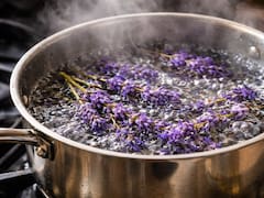Hervir flores de lavanda en casa: para qué sirve y por qué se recomienda