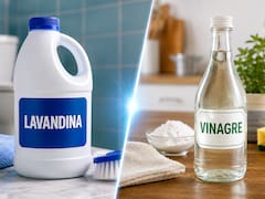 Lavandina o vinagre: cuál es la mejor opción para limpiar y cuál recomiendan los expertos