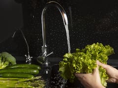 Cómo hay que limpiar la lechuga y la papa antes de cocinar, según una especialista en alimentos