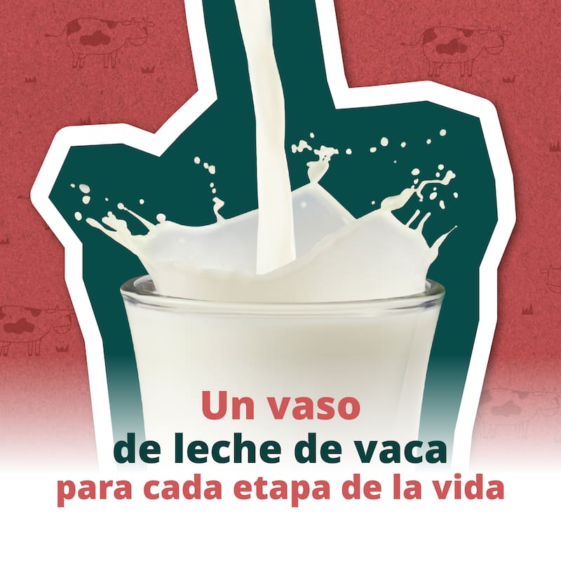 ¿Tomas leche de vaca?