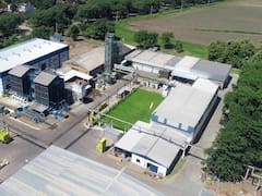 Ledesma perdió $ 25.000 millones en su primer semestre: por qué no pudo aprovechar el colapso de Celulosa