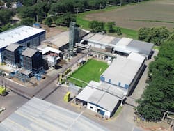 Ledesma perdió $ 25.000 millones en su primer semestre: por qué no pudo aprovechar el colapso de Celulosa