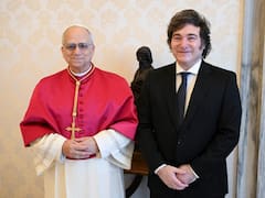 ¿El papa León XIV visitará el país? La respuesta que abre la posibilidad tras una reunión con un cardenal argentino