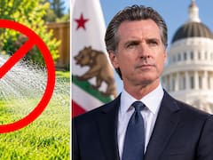 Oficial y confirmado | California valida una ley firmada por Newsom que impone multas de 1,000 dólares por regar un tipo específico de césped
