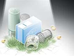 Ley de semillas, un debate que frena el futuro de la agrobioindustria