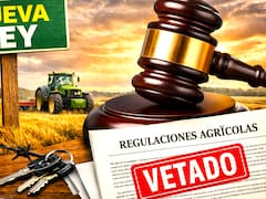 La Justicia falló contra agricultura y aumentó las regulaciones en el campo: quedan invalidados los permisos para uso de maquinaria y eventos rurales