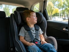 Oficial | Por una orden del Gobierno, castigarán uno por uno a los padres que dejen a sus hijos en el auto sin supervisión para ingresar a estos establecimientos