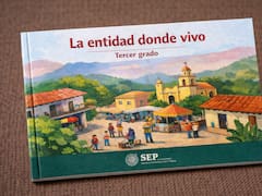 Los libros de texto se modificarán en todas las escuelas del país: incluirán lenguas originarias y una nueva forma de enseñar la historia